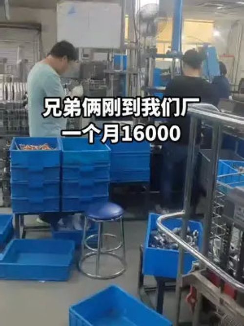 手足同心筑夢廠區，兄弟合力點亮人生